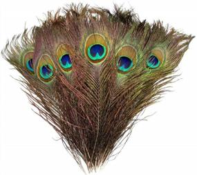 img 4 attached to 100Pcs 10"-12" Natural Peacock Feathers For Crafts Decoration - Blisstime