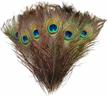 100pcs 10"-12" natural peacock feathers for crafts decoration - blisstime logo