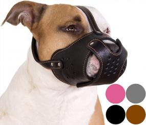 img 4 attached to Genuine Leather Basket Muzzle For Pitbulls And Staffordshire Terriers In Black By CollarDirect