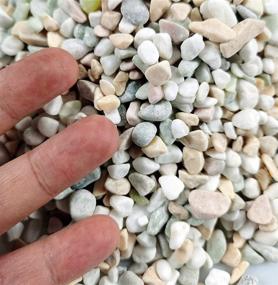 img 3 attached to 🏞️ Premium 6lb Mixed Pebbles Gravel with Pastel Accents - Ideal for Plant Aquariums, Landscaping, Vase Fillers