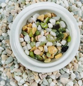 img 2 attached to 🏞️ Premium 6lb Mixed Pebbles Gravel with Pastel Accents - Ideal for Plant Aquariums, Landscaping, Vase Fillers