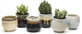 img 1 attached to Enhance Your Décor with the Eye-Catching Goldblue Flowing Glaze Ceramic Succulent Plant Pot - Perfect for Cactus, Flowers, and More! (6 Colors*2, Set of 12)