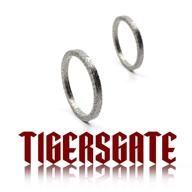 tigersgate compatible 1984 2019 sporster replace 65324 83b logo