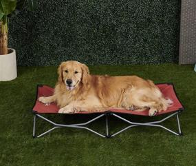 img 3 attached to 🐶 Carlson Elevated Dog Bed for Large Dogs - Indoor/Outdoor Dog Bed, Red Color