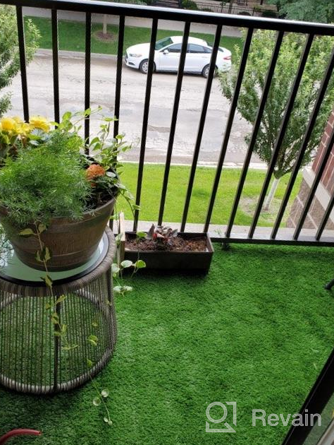img 1 attached to 5Ft X 8Ft SavvyGrow Realistic Synthetic Astro Turf Rug - 4 Tone Patio Grass Backdrop With Drain Holes - Non Toxic Eco-Friendly (Many Sizes) review by Aaron Johnson