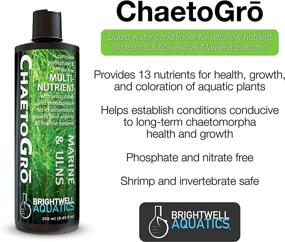 img 2 attached to 🌱 Brightwell Aquatics Chaeto GRO - Chaetomorpha Growth Support Supplement, 500 ML - Ideal for All Marine Aquariums