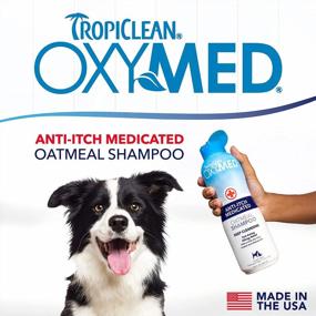 img 3 attached to TropiClean OxyMed: идеальное решение для аллергии и зуда на коже домашних животных - лечебный шампунь против зуда, сделанный в США - 20 унций овсяной муки для быстрого облегчения