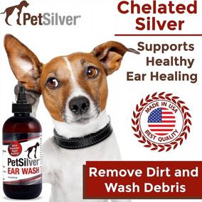 img 3 attached to Держите уши вашего питомца чистыми и здоровыми с каплями для мытья ушей PetSilver - сделано в США и формула без запаха - 8 унций