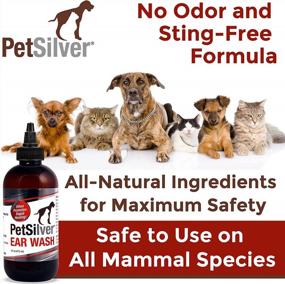 img 1 attached to Keep Your Pet'S Ears Clean And Healthy With PetSilver Ear Wash Drops - Made In USA And Odorless Formula - 8 Oz