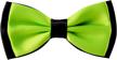 🎩 fancy adjustable wedding party men's bowtie: enhance your style with classy accessories logo