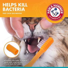 img 2 attached to 🐱 Cat Dental Supplies - Arm & Hammer Pet Fresh Breath Dental Kit for Cats, Dental Water Additive for Cat Teeth Health - Cat Toothbrush and Toothpaste - Dental Products for Fresh Breath and Cat Teeth Care