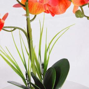 img 1 attached to Orchid Bonsai Arrangement With Vase: Decorative Phalaenopsis Artificial Flowers For Home, Office, Or Party Decor In Orange By VIVILINEN