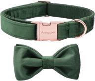 🐶 aring pet bowtie dog collar: stylish velvet collars with detachable bowtie for dogs logo