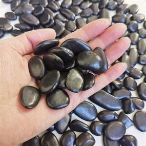 img 2 attached to 🖤 Midnight-Jump 5 Lb 3/8 inch Polished Black Pebbles - Natural Decorative Stones for Succulents, Vases, Aquariums, and Terrariums