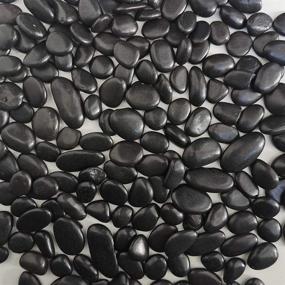 img 3 attached to 🖤 Midnight-Jump 5 Lb 3/8 inch Polished Black Pebbles - Natural Decorative Stones for Succulents, Vases, Aquariums, and Terrariums