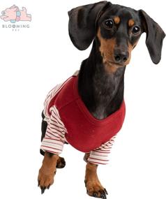 img 2 attached to BLOOMING PET Striped Breathable Stretchable Dogs