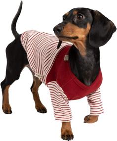 img 4 attached to BLOOMING PET Striped Breathable Stretchable Dogs