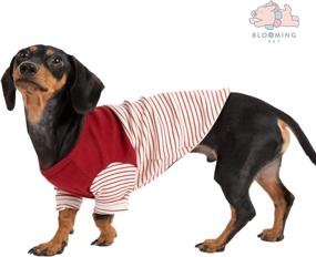 img 3 attached to BLOOMING PET Striped Breathable Stretchable Dogs