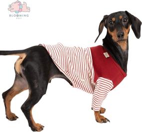 img 1 attached to BLOOMING PET Striped Breathable Stretchable Dogs