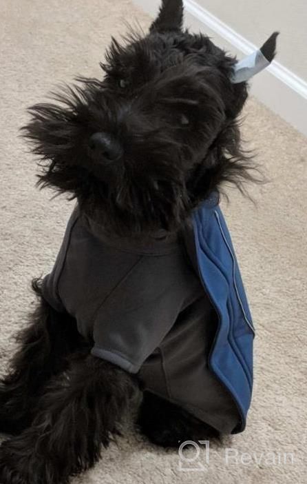 img 1 attached to RUFFWEAR Cloud Chaser Waterproof Insulated Jacket For Dogs - Obsidian Black, Large review by Danielle Erickson