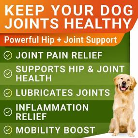 img 3 attached to Glucosamine Treats For Dogs - Joint Supplement W/ Omega-3 Fish Oil - Chondroitin, MSM - Advanced Mobility Chews - Joint Pain Relief - Hip & Joint Care - Chicken Flavor - 120 Ct - Made In USA