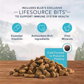 img 1 attached to Blue Buffalo Wilderness High Protein Dog Food: Natural Adult Large Breed Healthy Weight Dry Food, Chicken 24-lb