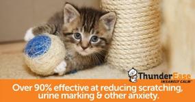 img 1 attached to Успокойте тревожность и проблемы с поведением кошек с помощью заправки ThunderEase для рассеивания успокоительных феромонов.