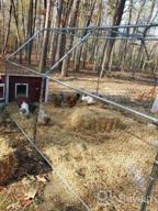 img 1 attached to Spacious And Durable Galvanized Chicken Coop With Secure Walk-In Pen Run And Cover - The Perfect Home For Your Chickens review by Bethany Patel