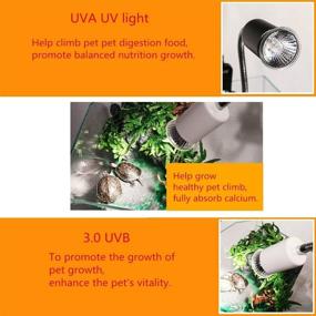 img 1 attached to 6 Pack 75W UVA & UVB Sun Lamp: Ideal Heat Source for Reptile Lizard, Pet Coop, Chicken, Turtle Brooder