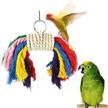 parrot colorful perfect playing preening logo