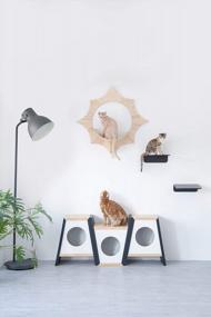 img 1 attached to MYZOO Solar, Sun Shape, Wall Mounted Cat Shelves, Floating Perch, Cat Tree,Solid Wood