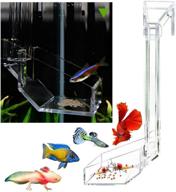 shrimp fish feeding dish - sky restaurant for aquarium - betta feeding with anti-spill feature - convenient fish feeder with easy cleanup for leftover food - ideal for african feeding and dwarf frogs logo