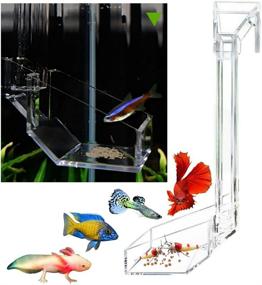 img 4 attached to Shrimp Fish Feeding Dish - Sky Restaurant for Aquarium - Betta Feeding with Anti-Spill Feature - Convenient Fish Feeder with Easy Cleanup for Leftover Food - Ideal for African Feeding and Dwarf Frogs