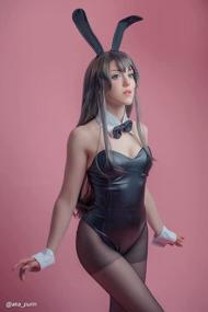 img 1 attached to ROLECOS Bunny Girl Senpai Cosplay Bodysuit For Women: One-Piece Bunny Costume