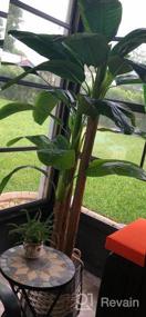 img 6 attached to Великолепное 5,7-дюймовое растение Musa Basjoo Banana Tree из искусственного шелка - AMERIQUE Super Quality W / UV Protection, Feel Real Technology и детский пластиковый горшок