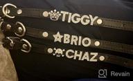 img 1 attached to XS Size Custom Dog Collar With Personalized Name Letters - Didog Smooth PU Leather Rhinestone For Small Medium Dogs, Black review by Samik Drusky