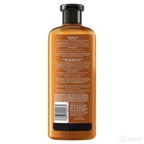 img 3 attached to Moringa Herbal Essences Biorenew Shampoo