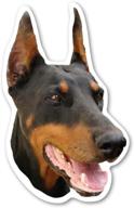 magnet america doberman pinscher логотип