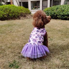 img 3 attached to 👗 QingLuo Sweet Puppy Dog Princess Dress - Pink/Purple Bow Lace Tutu Skirt - Doggie Dress for Dog/Cat (X-Small, Purple)