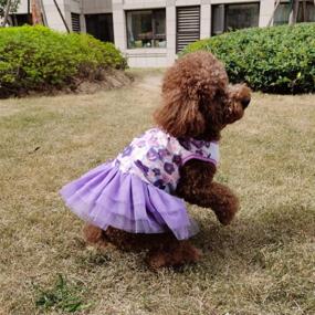 img 2 attached to 👗 QingLuo Sweet Puppy Dog Princess Dress - Pink/Purple Bow Lace Tutu Skirt - Doggie Dress for Dog/Cat (X-Small, Purple)