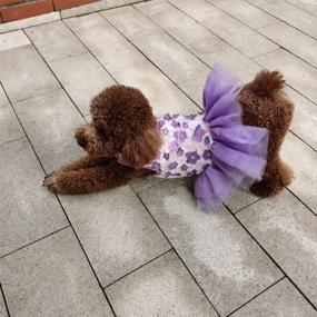 img 1 attached to 👗 QingLuo Sweet Puppy Dog Princess Dress - Pink/Purple Bow Lace Tutu Skirt - Doggie Dress for Dog/Cat (X-Small, Purple)