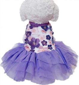 img 4 attached to 👗 QingLuo Sweet Puppy Dog Princess Dress - Pink/Purple Bow Lace Tutu Skirt - Doggie Dress for Dog/Cat (X-Small, Purple)