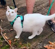 img 1 attached to Adjustable Escape Proof Cat Harness And Leash Set By PUPTECK - Breathable Soft Mesh Vest For Small And Medium Kittens, Ideal For Outdoors With Reflective Strips review by Leticia Wilhelmsen