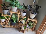 img 1 attached to Bamboo 6 Tier Rolling Plant Stand - Stylish Indoor/Outdoor Planter Display Rack For Your Patio Or Living Room review by Jamie Kamoso