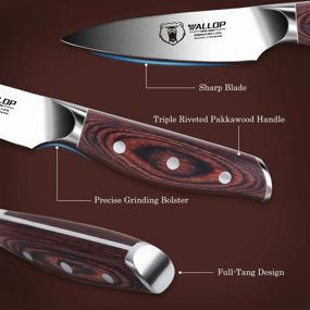 img 2 attached to Jane Series Paring Knife - 3.5 Inch Fruit Peeling Knife - Small Kitchen Knife With Full Tang Pakkawood Handle - German HC Stainless Steel - Comes In Gift Box - Ideal For Precise Cutting And Peeling