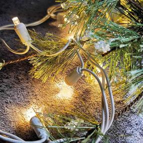 img 1 attached to 🎄 17FT 50 LED Christmas Lights - Commercial Grade Mini LED String Lights, UL Certified, White Wire Warm White Xmas Lights - Indoor & Outdoor Use for Holiday Parties, Tree Decorations, Light Displays