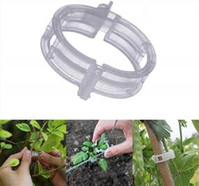 img 3 attached to 300-Pack Tomato Trellis Clips For Healthy Vine Growth And Support In Your Garden - Ideal For Vegetables And Plant Vines