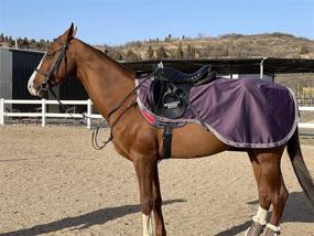 img 3 attached to 🐎 TGW RIDING Horse Quarter Sheet - Water-Repellent Softshell Outer Fabric with Fleece Lining - Horse Exercise Sheet - Horse Quarter Sheet with Elastic Properties