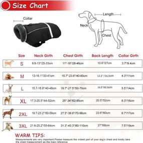 img 2 attached to 🐶 Dress Your Pooch in Style: Dogcheer Warm Dog Coat – A Waterproof Winter Apparel for Small, Medium, and Large Dogs