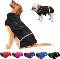 🐶 dress your pooch in style: dogcheer warm dog coat – a waterproof winter apparel for small, medium, and large dogs логотип